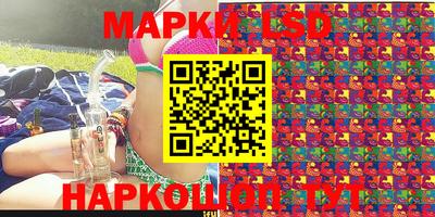 шишки Аргун