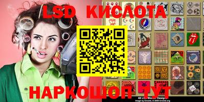 шишки Аргун