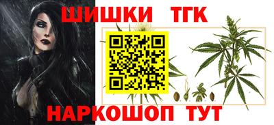 шишки Аргун