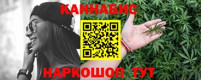 шишки Аргун