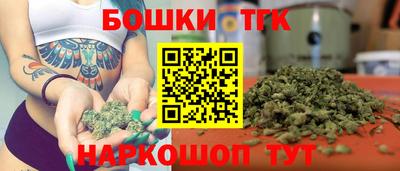 шишки Аргун