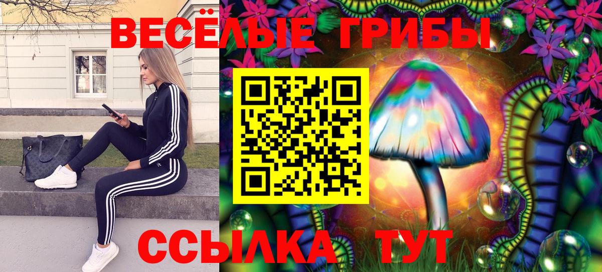 Псилоцибиновые грибы Psilocybe Артёмовский