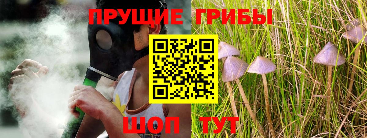 Псилоцибиновые грибы прущие грибы  Вход с VPN  Артёмовский 