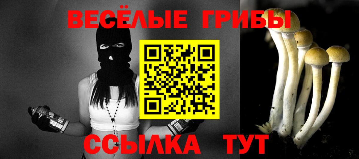 Галлюциногенные грибы мицелий Артёмовский